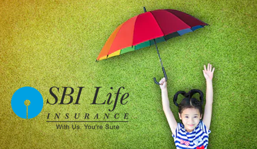 Life Insurance Plan : What are the important things to be kept in mind while taking a life insurance plan, understand the right way