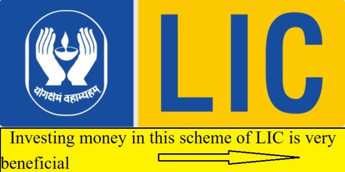 LIC Policy : Investing money in this scheme of LIC is very beneficial, every month an investment of Rs 893 will make you a millionaire.