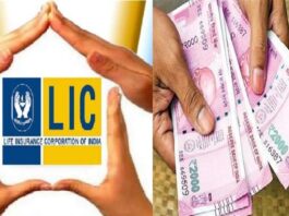 Good LIC Scheme: Invest once in this policy of LIC, get Rs 6859 every month for life