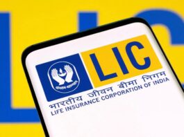 LIC Stock Market: Do not sell LIC shares now, expert said - waiting a little bit will give you double returns