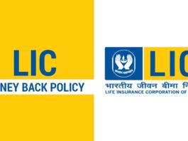 LIC’s most popular money-back plans, you should apply for this know all immediately details here