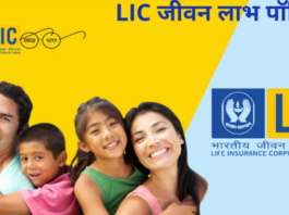 Lic big plan: In this plan of LIC, you will get Rs 26 lakh instead of Rs 122, know the full update