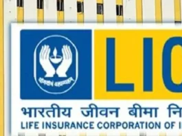LIC and Adani Wilmar included in Amphi's largecap stock category, what will be its effect? check here