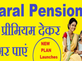 LIC Big Update Saral Pension Scheme: Invest only once in this policy of LIC, get pension for life, check here Update Instantly