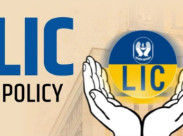 LIC's share in insurance business crosses 68%, premium collection doubles from last year, check all updates here immediately