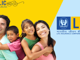 LIC Good News: These schemes of LIC made people rich, increased money by 17 times, check update here