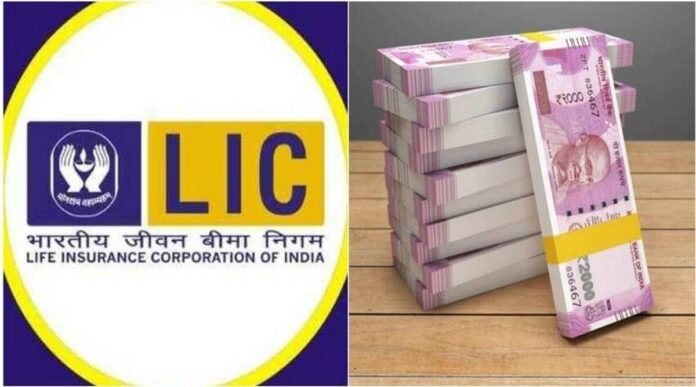 Best LIC Policy : On Depositing Rs 260 in LIC's Policy, You Will Get 54 Lakhs, You Will Get These Benefits, Check Details