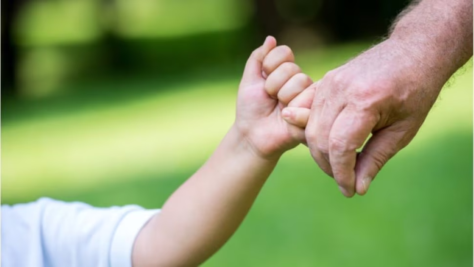 Life Insurance Policy! Not having a nominee can cause huge losses, know how you can change your nominee Life Insurance Policy! Not having a nominee can cause huge losses, know how you can change your nominee
