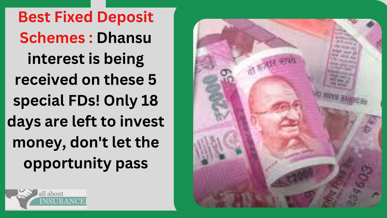 Best Fixed Deposit Schemes : Dhansu interest is being received on these 5 special FDs! Only 18 days are left to invest money, don't let the opportunity pass Best Fixed Deposit Schemes : Dhansu interest is being received on these 5 special FDs! Only 18 days are left to invest money, don't let the opportunity pass