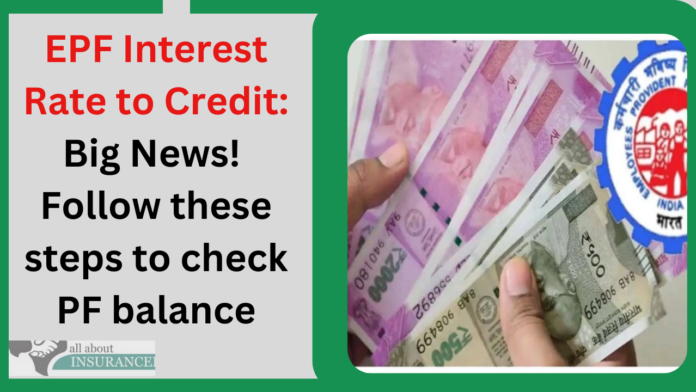 EPF Interest Rate to Credit: Big News! Follow these steps to check PF balance