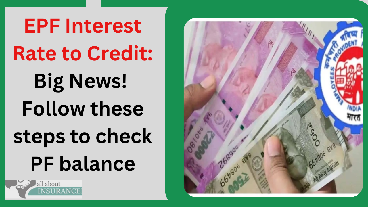 EPF Interest Rate to Credit Big News! Follow these steps to check PF balance Insurance India