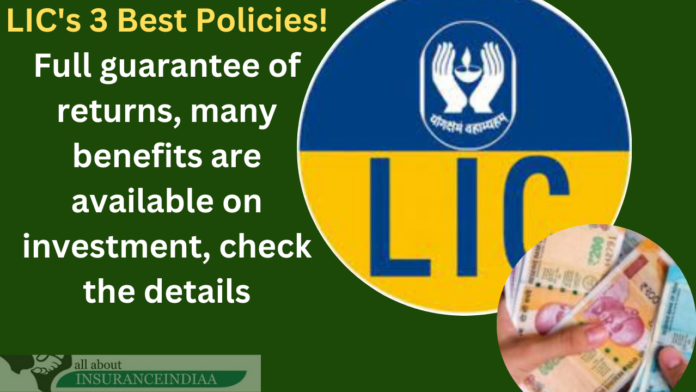 LIC's 3 Best Policies! Full guarantee of returns, many benefits are available on investment, check the details