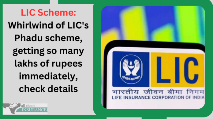 LIC Scheme: Whirlwind of LIC's Phadu scheme, getting so many lakhs of rupees immediately, check details