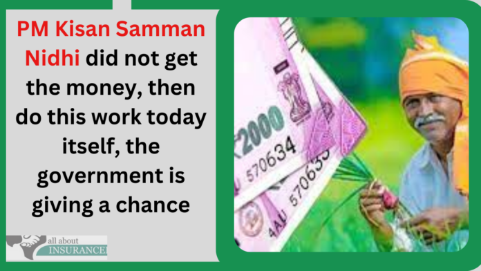 PM Kisan Samman Nidhi did not get the money, then do this work today itself, the government is giving a chance