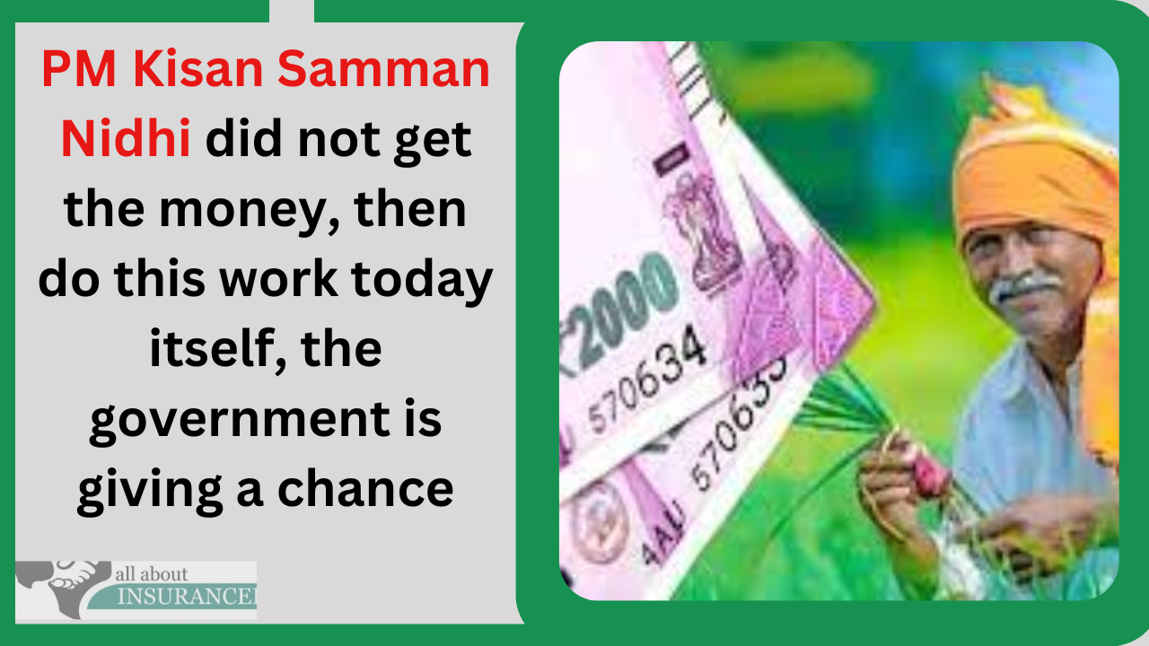 PM Kisan Samman Nidhi did not get the money, then do this work today itself, the government is giving a chance PM Kisan Samman Nidhi did not get the money, then do this work today itself, the government is giving a chance