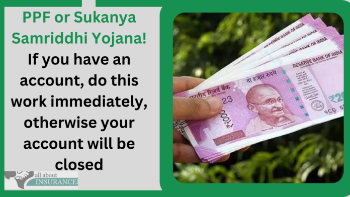 PPF or Sukanya Samriddhi Yojana! If you have an account, do this work immediately, otherwise your account will be closed