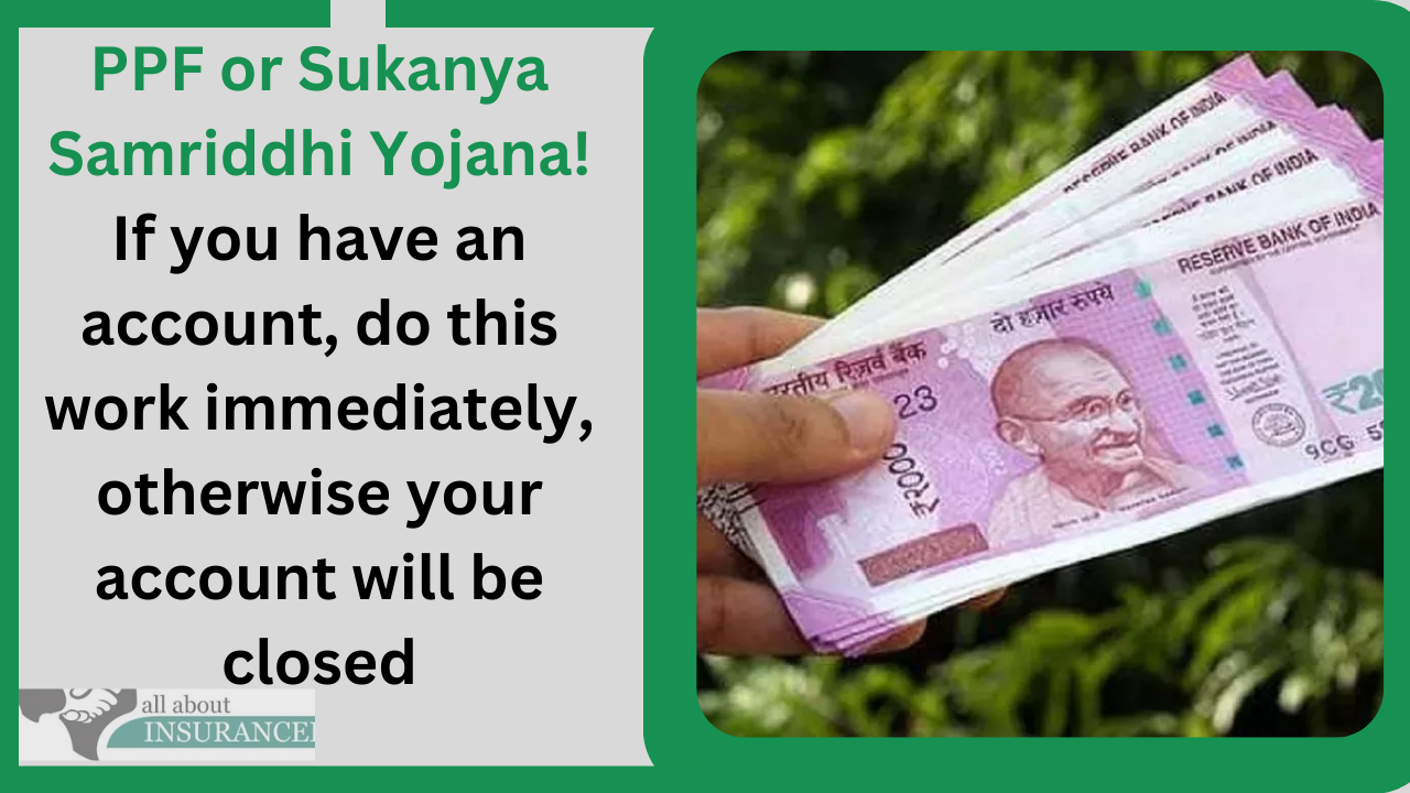 PPF or Sukanya Samriddhi Yojana! If you have an account, do this work immediately, otherwise your account will be closed PPF or Sukanya Samriddhi Yojana! If you have an account, do this work immediately, otherwise your account will be closed