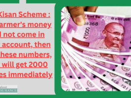 Pm Kisan Scheme : PM farmer's money did not come in your account, then call these numbers, you will get 2000 rupees immediately