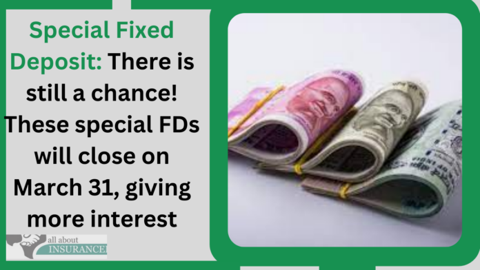 Special Fixed Deposit: There is still a chance! These special FDs will close on March 31, giving more interest