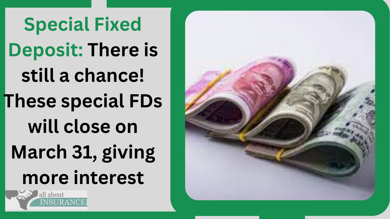Special Fixed Deposit: There is still a chance! These special FDs will close on March 31, giving more interest Special Fixed Deposit: There is still a chance! These special FDs will close on March 31, giving more interest