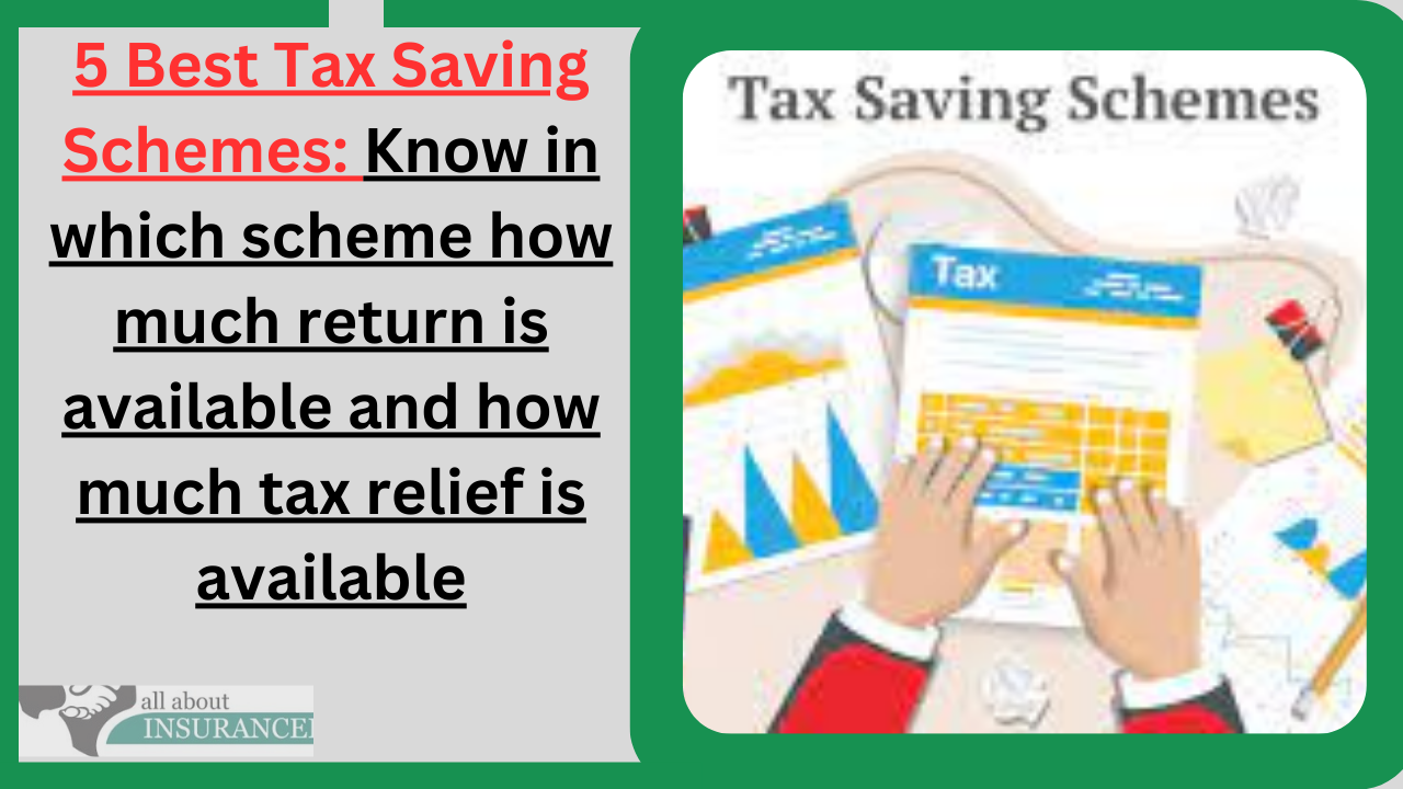 5 Best Tax Saving Schemes: Know in which scheme how much return is available and how much tax relief is available 5 Best Tax Saving Schemes: Know in which scheme how much return is available and how much tax relief is available