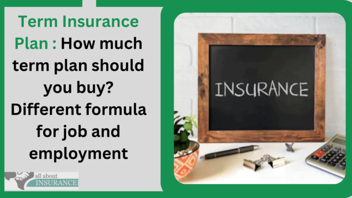 Term Insurance Plan : How much term plan should you buy? Different formula for job and employment
