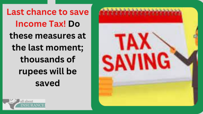 Last chance to save Income Tax! Do these measures at the last moment; thousands of rupees will be saved
