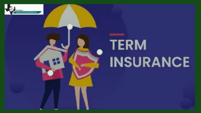Term Insurance Plan : What To Keep In Mind Before Taking A Term Insurance Plan, Get Complete Information Here