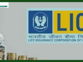 LIC New Scheme : Promise of a better future with these schemes of LIC, getting the benefit of higher interest