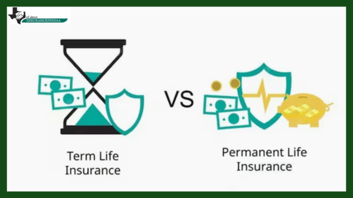 Insurance Policy : What is the difference between life insurance and term insurance, which one will be more beneficial for you?