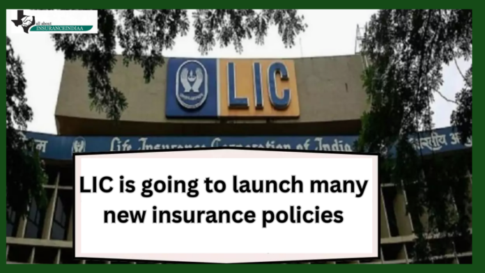 LIC is going to launch several new insurance policies! This new scheme is going to start in December, know complete details