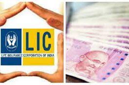 LIC Policy: By investing Rs 2000 in this policy of LIC, a fund of Rs 43 lakh can be created, know full details.