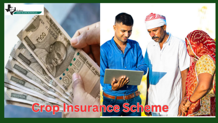 Crop Insurance Scheme: Big News! Farmers can get Rabi crops insured till 31st December, insurance rate fixed