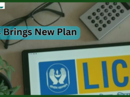 LIC brings new plan! LIC Index Plus has a lock in period of 5 years, these are the benefits