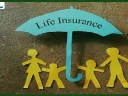 Life Insurance : How many types of Life Insurance and General Insurance are there? Many people may not know this