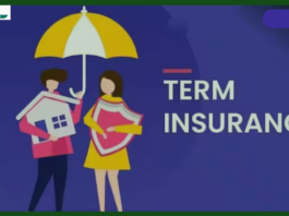 Tax Saving Insurance : Are you taking term insurance to save tax? These 3 tips of Zerodha will be useful
