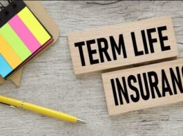 Term Insurance! Know what to do and what not to do after getting money, understand how to manage a large amount