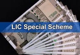LIC : Earn 4 hours every day with LIC, earn Rs 75 thousand per month.