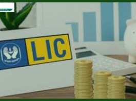 LIC Lapse Policy : How to restart LIC's lapse policy, know - what is the easy way