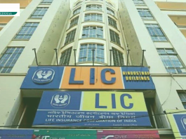 LIC launched great plan! Deposit money only once, will get Rs 50,000 pension for life, see plan full details