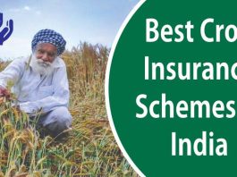 Crop Insurance Scheme : If the crop is destroyed due to natural disasters, you can claim crop insurance, know the complete process
