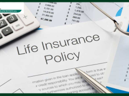 Term Insurance or Whole Life – Know which policy will give you true peace and correct coverage?