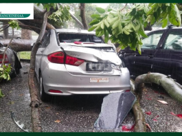 Vehicle Insurance : If a tree falls on a car due to a storm, will the company give the insurance claim?