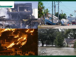 Climate of Insurance: You can also get insurance for losses caused by weather; know how this insurance works