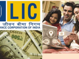 LIC's most profitable scheme : Pay premiums for four years and you'll receive a full one crore rupees.