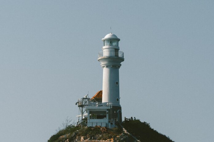 LIC: A Beacon of Hope in India's Insurance Sector