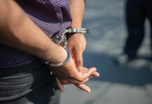 LIC News: Border Arrests LIC News: Border Arrests