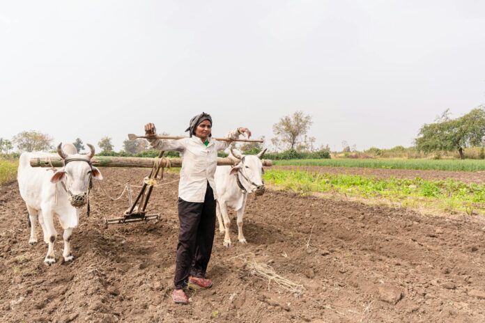 PM Kisan 23rd Installment by April 15: Verify Beneficiary List Now